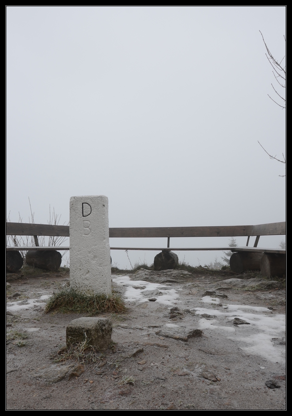 DSC_3248