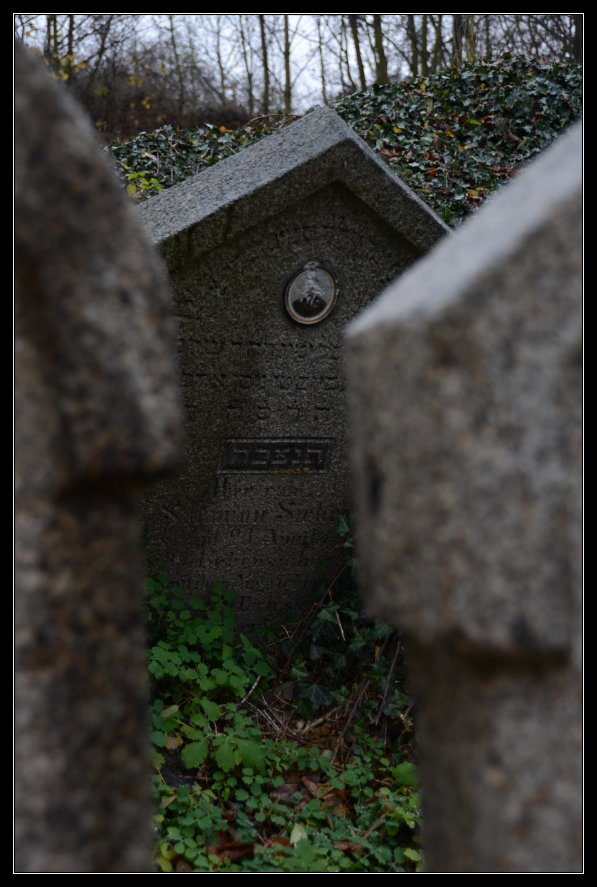 DSC_3506