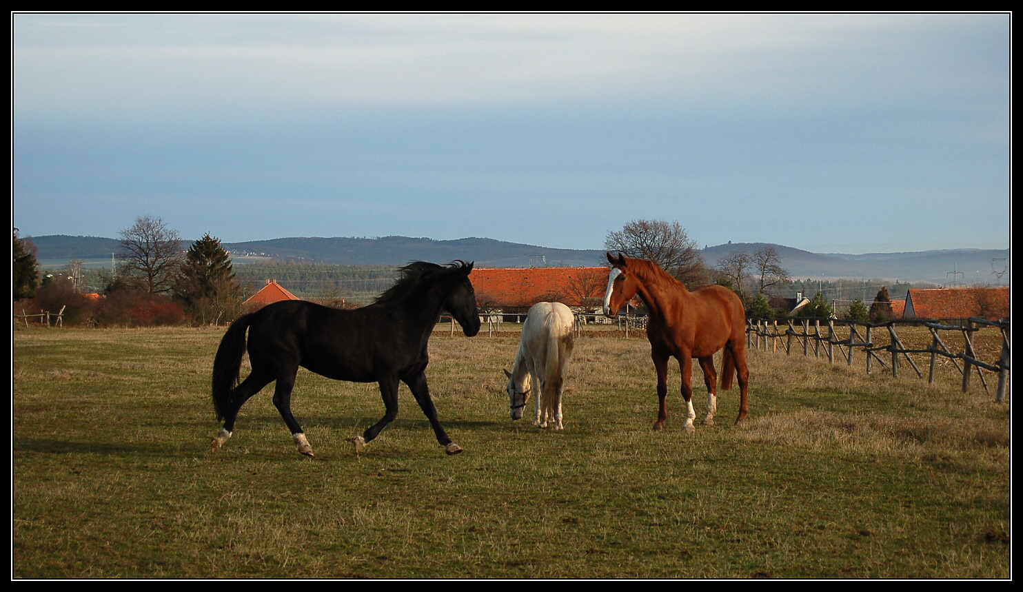 DSC_0578.JPG